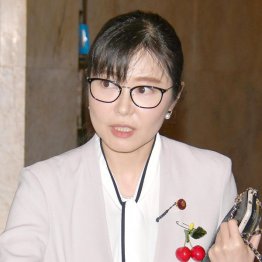 加藤鮎子は故・加藤紘一元官房長官の娘（Ｃ）日刊ゲンダイ