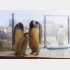 人気のエンペラーペンギンの赤ちゃん（中央）／（Ｃ）日刊ゲンダイ