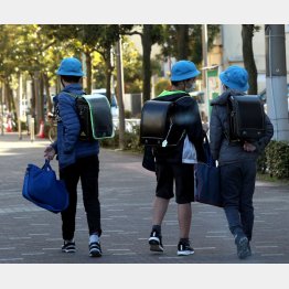 小学生なら素朴に指折り数えるはず。難しく考え過ぎ（Ｃ）日刊ゲンダイ