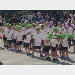 クラスのお友だちは何人？（Ｃ）日刊ゲンダイ