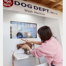 ペット洗浄機で、うれしそうなワンちゃん（提供写真）