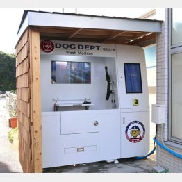 どこにでも設置できる（DOGDEPT 湘南江の島店）／（提供写真）