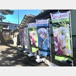 （Ｃ）日刊ゲンダイ