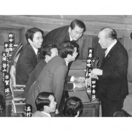 まさかの出会い（提供）筆者