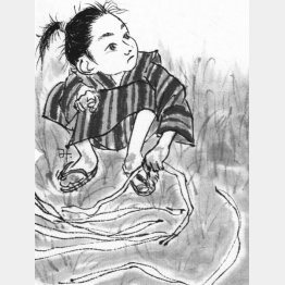 イラスト・横田美砂緒