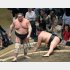 横綱照ノ富士時代から人気者だったが…（Ｃ）日刊ゲンダイ
