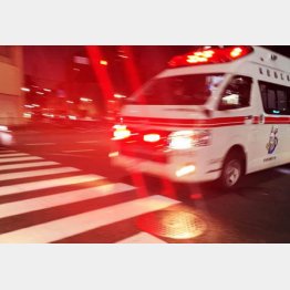 写真はイメージ