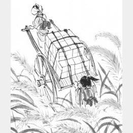 イラスト・横田美砂緒