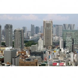 不動産関連を手掛ける（Ｃ）日刊ゲンダイ