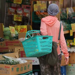 もっと値上がりするかも（Ｃ）日刊ゲンダイ