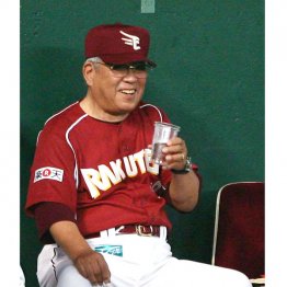 「野球を楽しめ」と言った野村克也監督（Ｃ）日刊ゲンダイ