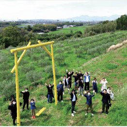 自社のオリーブ農園（提供写真）