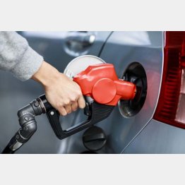 写真はイメージ