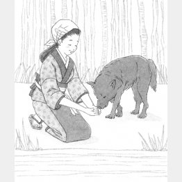 イラスト・鈴木ゆかり