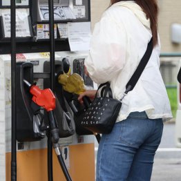 いきなり220円台に（Ｃ）日刊ゲンダイ