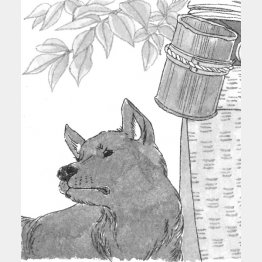 イラスト・鈴木ゆかり