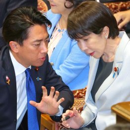 そろって悪しき慣習にどっぷり（Ｃ）日刊ゲンダイ