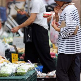 面子のバラマキ外交は熱心で、国民生活の逼迫は眼中にない…（Ｃ）日刊ゲンダイ