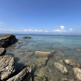 妻殺害事件の現場付近（提供写真）