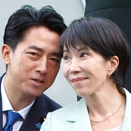 どこで遊ぶ？（Ｃ）日刊ゲンダイ