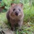 かわいく撮れた？（提供：埼玉県こども動物自然公園）
