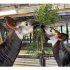 親子で仲良く食事中（提供：よこはま動物園ズーラシア）