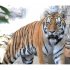 お、シャッターチャンス！（ミシュカ／提供：神戸市立王子動物園）