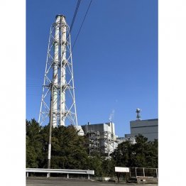 日本では石炭火力の稼働を増やす（九州電力の石炭火力発電所）／（Ｃ）共同通信社