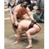 高安に敗れた豊昇龍（Ｃ）日刊ゲンダイ
