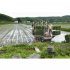 田植えシーズンに入ったが…（Ｃ）共同通信社