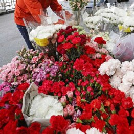 まっとうな文化が尊重されない社会は…（Ｃ）共同通信社