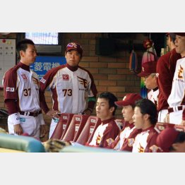 こんな光景は日常茶飯事（後方右3が野村克也監督）／（Ｃ）日刊ゲンダイ