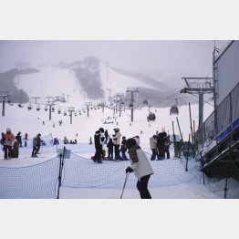 「北海道中央バス」はニセコに広大な不動産を所有（Ｃ）共同通信社
