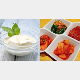 乳酸菌はヨーグルトやキムチにも含まれる