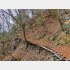 奥多摩・長沢背稜の登山道