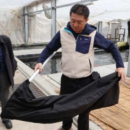 錦鯉をすくう専用の網（提供写真）
