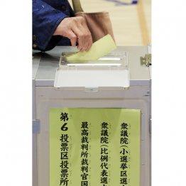 世論と乖離（Ｃ）日刊ゲンダイ