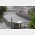 台風6号の影響で増水した東京・杉並区の善福寺川＝3日、午前8時45分（Ｃ）共同通信社