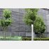 マンション大規模修繕、すでに594件が遅れ…＝4日（Ｃ）共同通信社