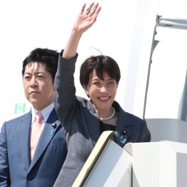 また媚びてくるわよ！（Ｃ）日刊ゲンダイ