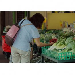 つけ刃でなく、物価高の根本的な改善政策がないままでは庶民の悲鳴はなくならない（Ｃ）日刊ゲンダイ