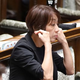 古賀千景参院議員は確かに稚拙な物言いだったが、「差別だ！」の一言で片づけて終わらせるのはどうなのか（Ｃ）日刊ゲンダイ
