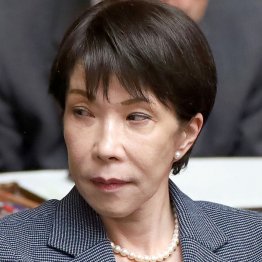 全ての元凶（Ｃ）日刊ゲンダイ