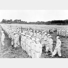 朝鮮動乱を受けて創設された警察予備隊（1950＝昭和25＝年8月25日、小平警察学校で）／（Ｃ）共同通信社