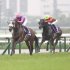 AIを使いこなしても……（Ｃ）日刊ゲンダイ