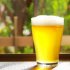 夏は冷えたビールで乾杯
