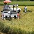 来月には早場米の収穫が始まるが…（Ｃ）共同通信社