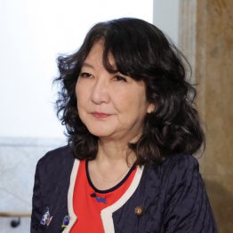 本家にも劣る掛け声倒れ（片山さつき財務相）／（Ｃ）日刊ゲンダイ