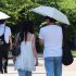 急激に気温が上がれば熱中症リスクが急増（Ｃ）日刊ゲンダイ