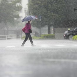 台風6号の影響で強い雨が降る（東京、6月3日）／（Ｃ）共同通信社